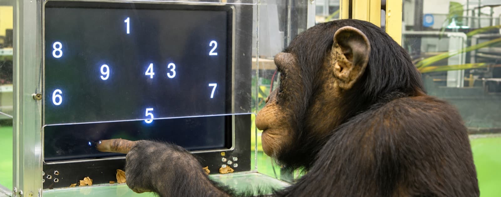 Rapid Visuospatial Memory in Numerical Sequencing Tasks